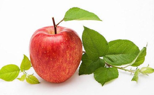 肖蛇补脾食物之水果类