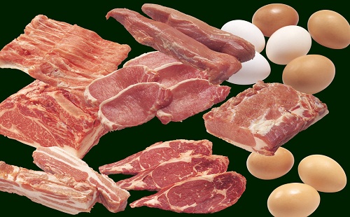 肖蛇补脾食物之肉蛋类