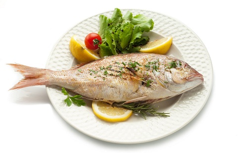 肖蛇补脾食物之水产品类