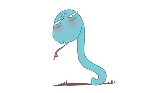 不同季节出生的属蛇人的性格