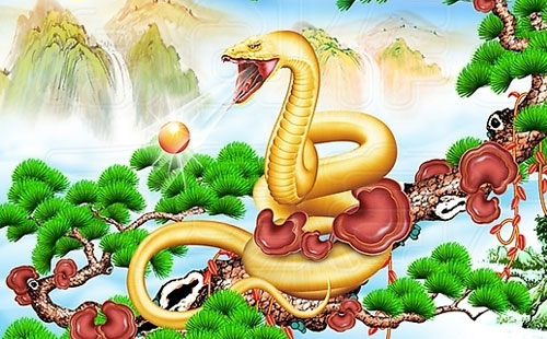 属蛇的性格特点 属蛇的性格特点