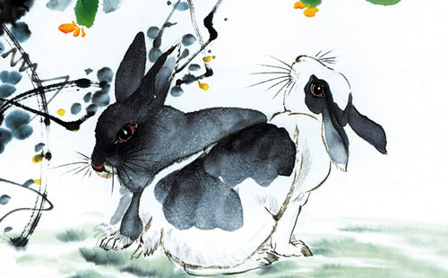 属兔的性格特点