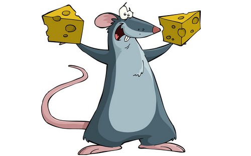 属鼠人如何改运 属鼠人如何改运