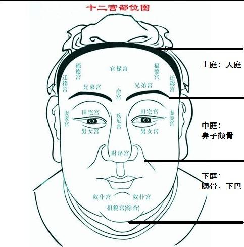 什么叫天庭饱满地阁方圆