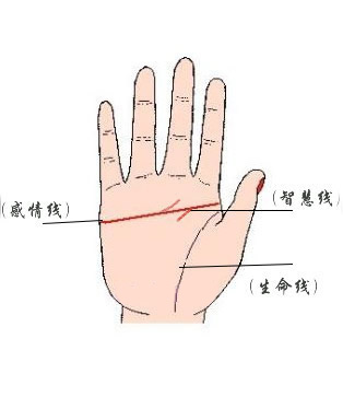 真假断掌如何分辨
