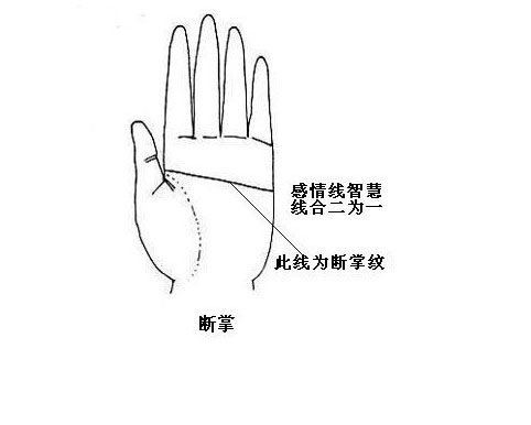 女子断掌的命运如何