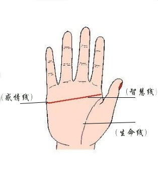 真假断掌如何分辨