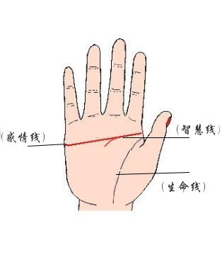 真假断掌如何分辨