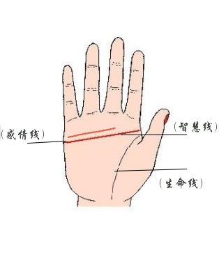 真假断掌如何分辨