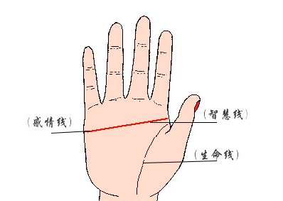 女子断掌如何化解