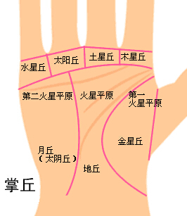 手掌八大丘