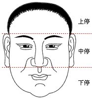 面相的三停是什么