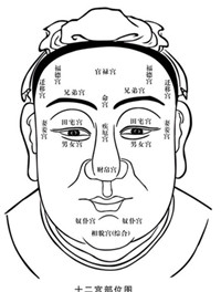 面相的十二宫是什么