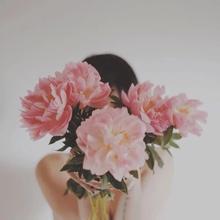 个性详解