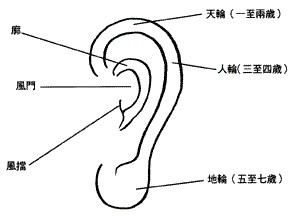 常见的女性耳相