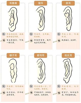从耳朵看你人生运势