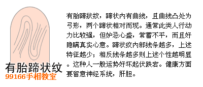 指纹类型全分析