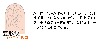 指纹类型全分析