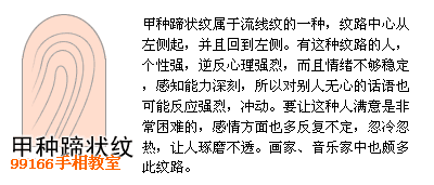 指纹类型全分析