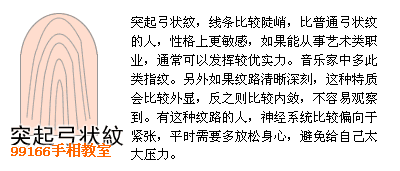 指纹类型全分析