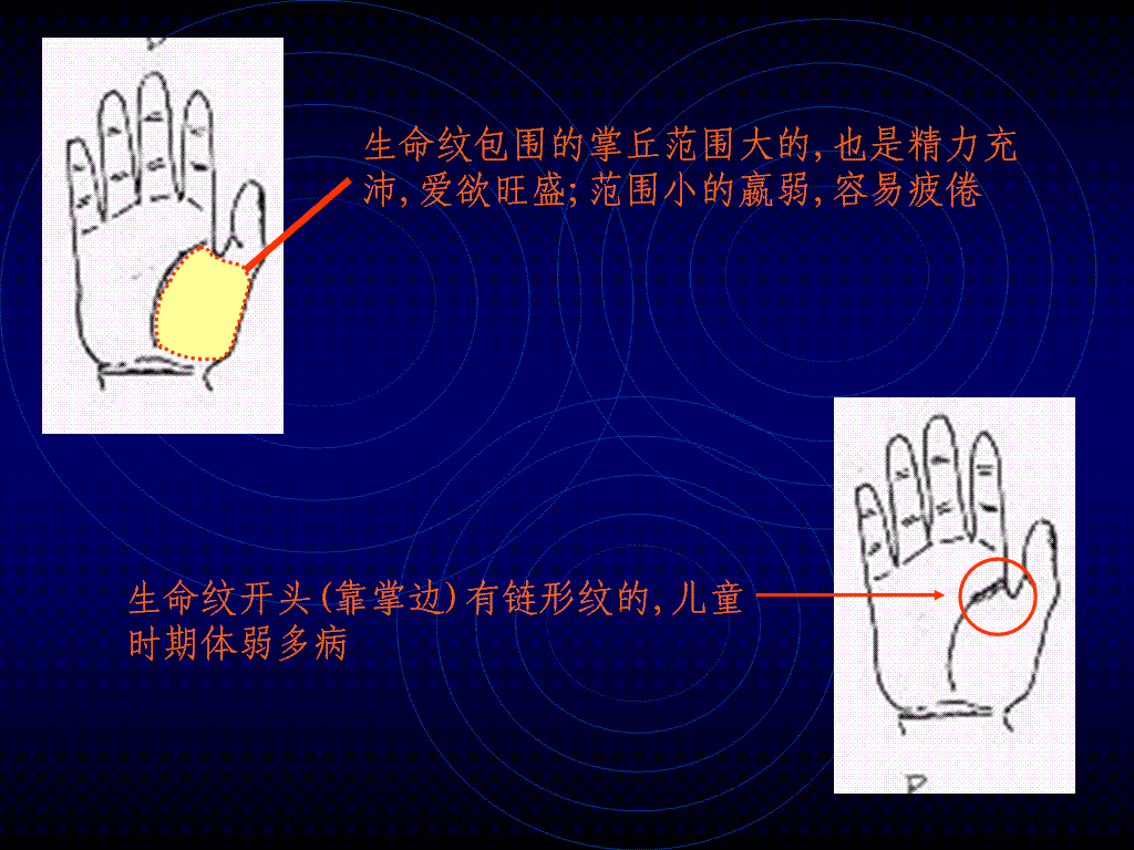 生命纹1