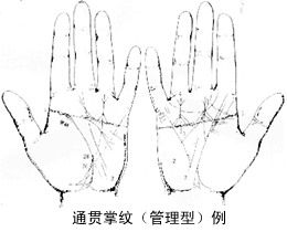 王大有手相实例