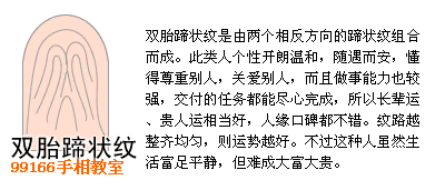 指纹类型全分析