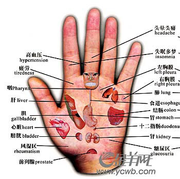 刘剑锋手诊图