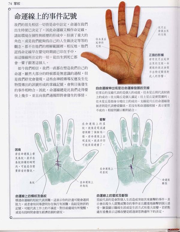 手相百科：命运线
