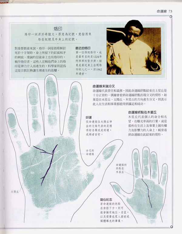 手相百科：命运线