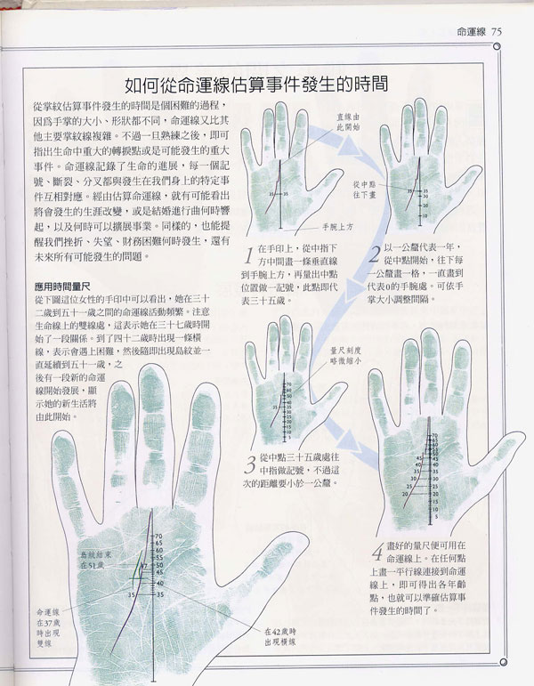 手相百科：命运线