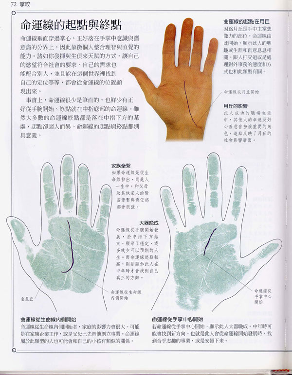 手相百科：命运线