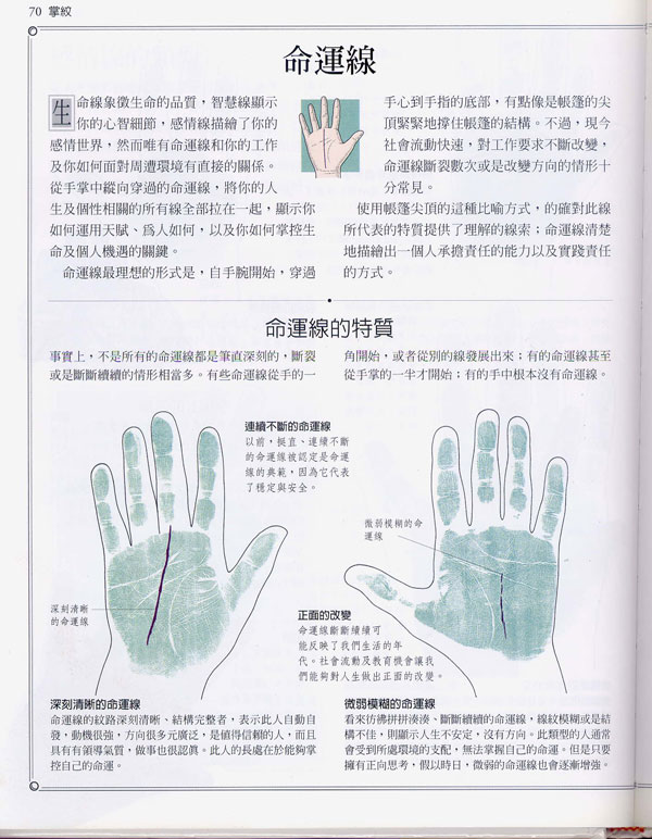 手相百科：命运线