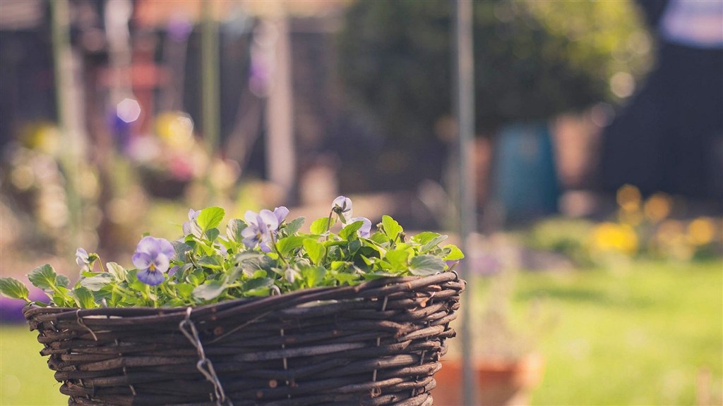 射手座的贵人运