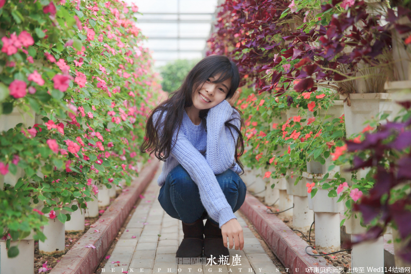 十二星座玻璃心