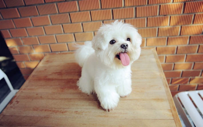 巨蟹座分手之后的表现