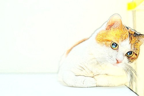 白羊座分手后的表现