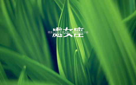 处女座和什么星座最配