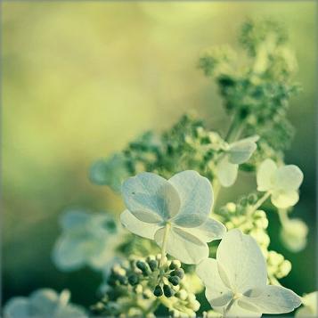 与巨蟹座女生交往技巧