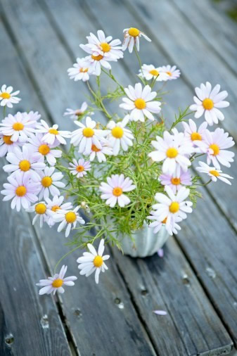 与双子座男生的恋爱技巧