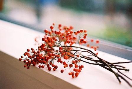 与白羊座女生的恋爱技巧