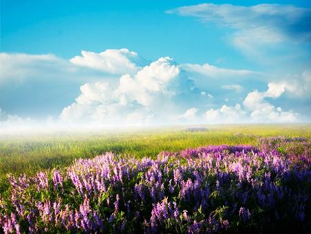 白羊座恋爱技巧