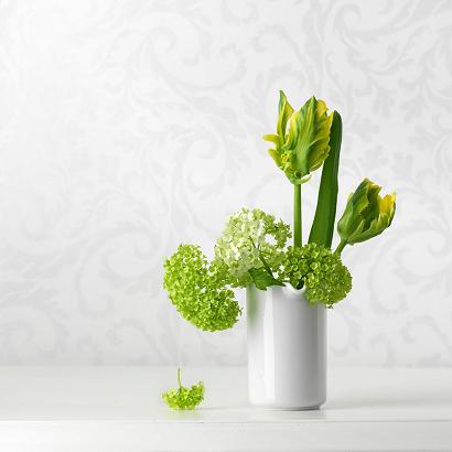 与处女座女生的交往技巧