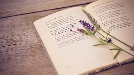 与天蝎座女生的相处技巧